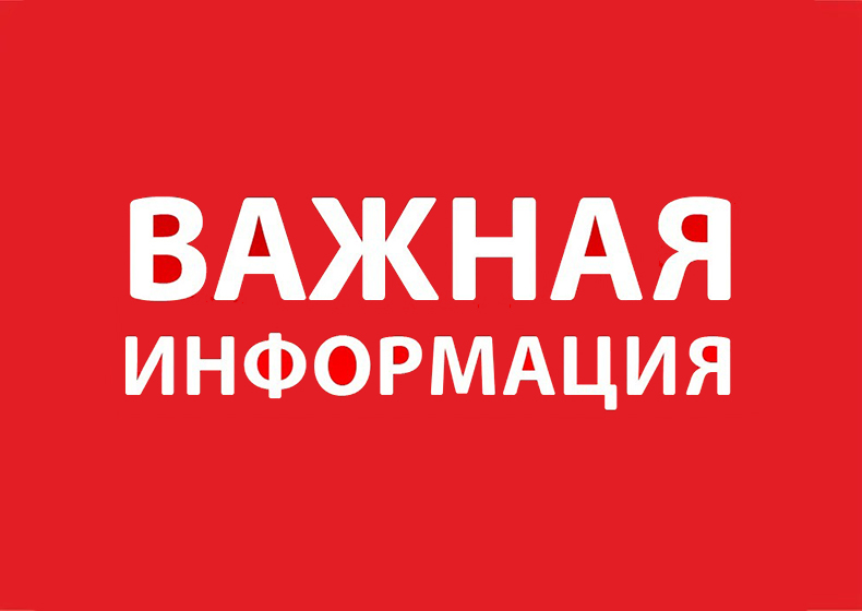 Отлов безнадзорных животных.